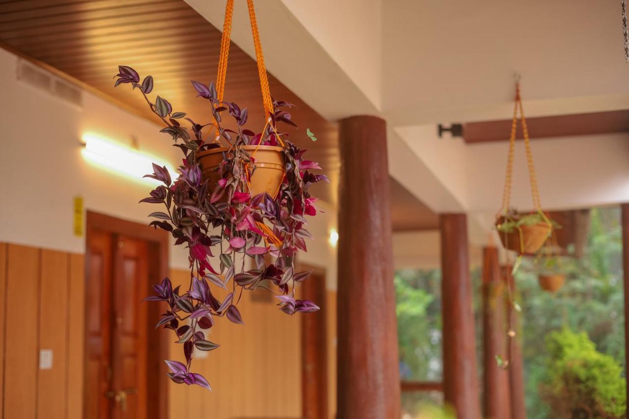 Swastha Plantation Homestay Kaniyambetta Bagian luar foto