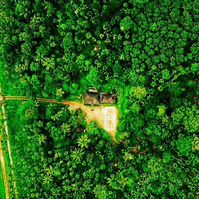 Swastha Plantation Homestay Kaniyambetta Bagian luar foto