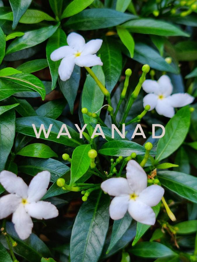 Swastha Plantation Homestay Kaniyambetta Bagian luar foto