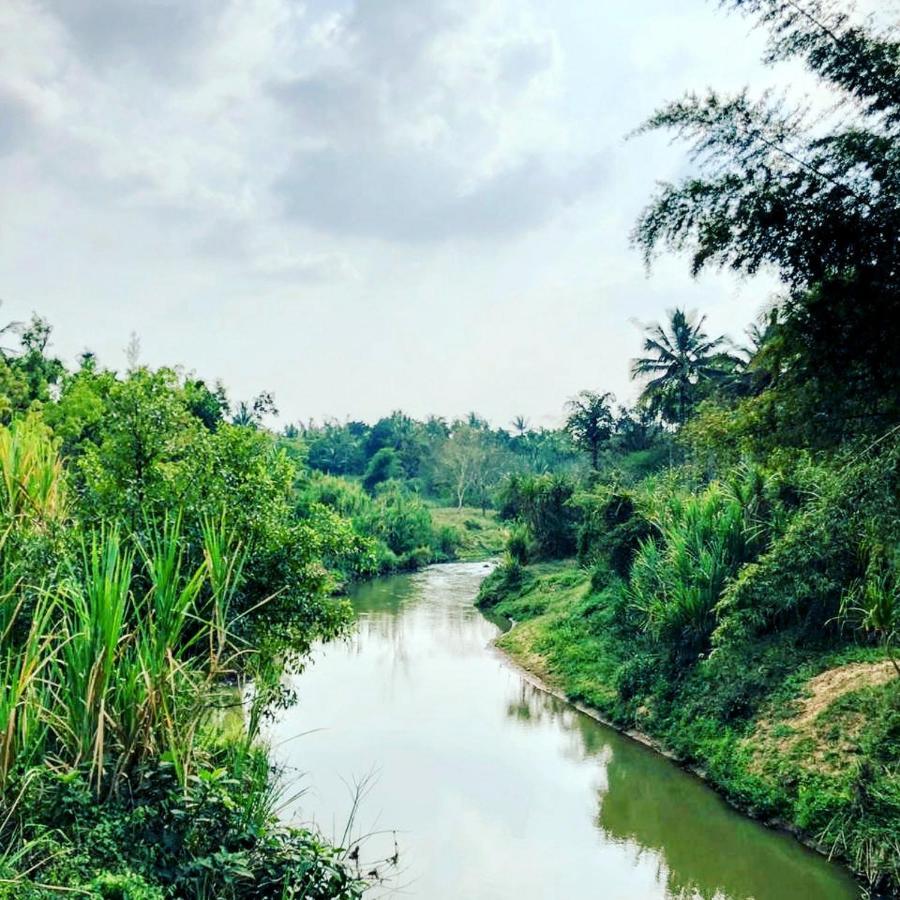 Swastha Plantation Homestay Kaniyambetta Bagian luar foto